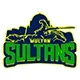 Multan Sultans