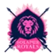 Solapur Royals