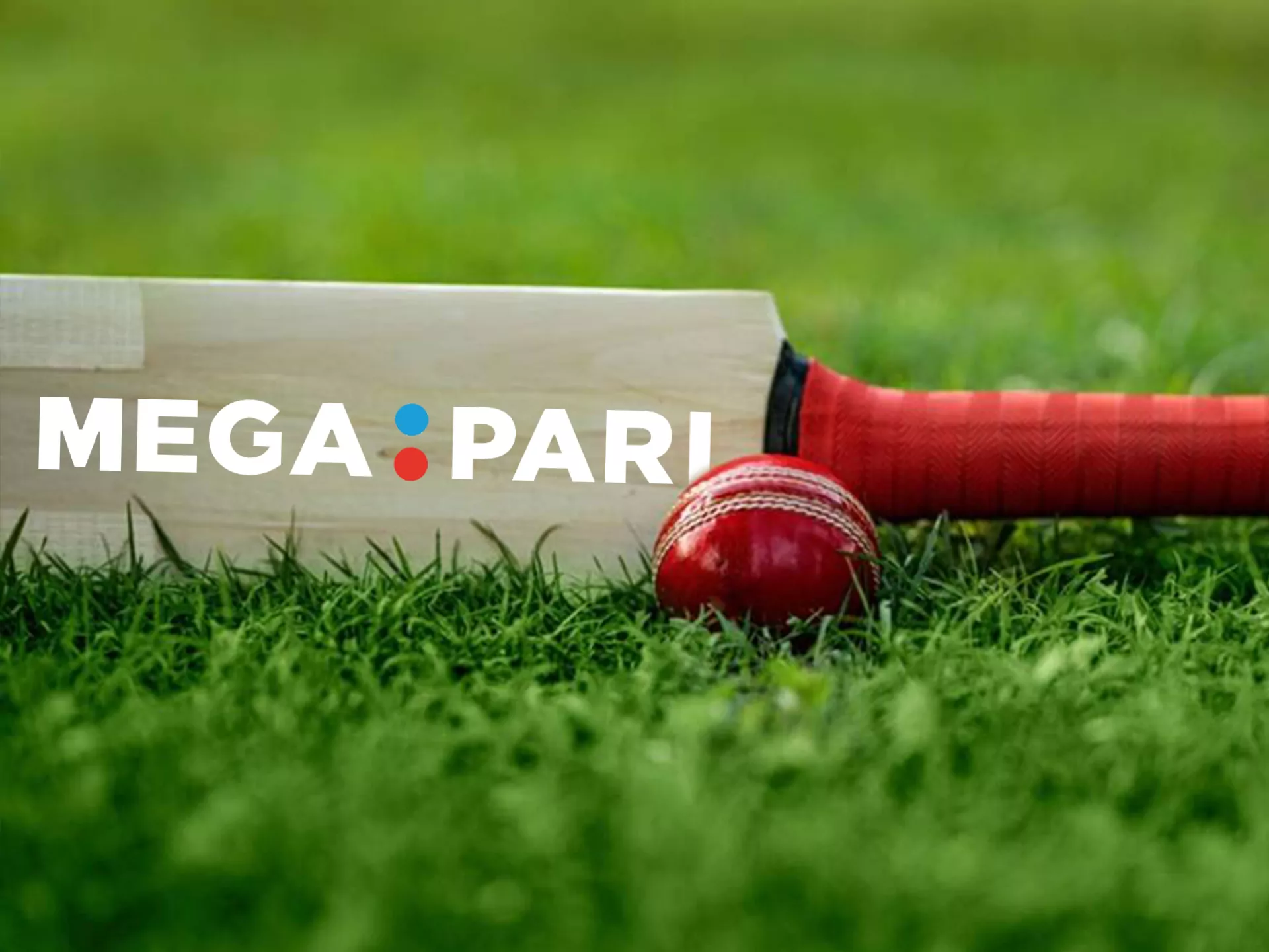 Bet on cricket in Megapari app.