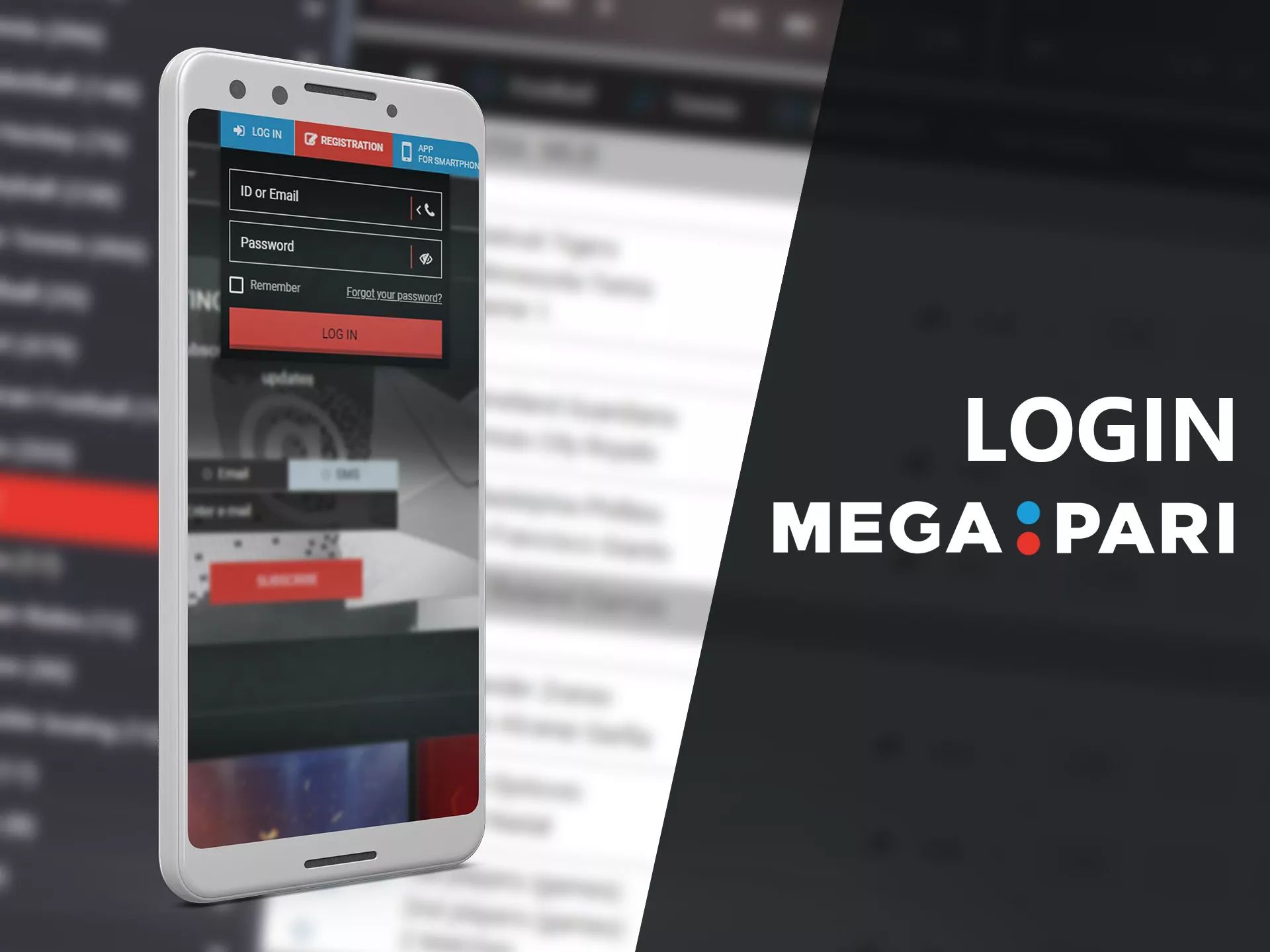 Log in to Mega Pari using your email and password.