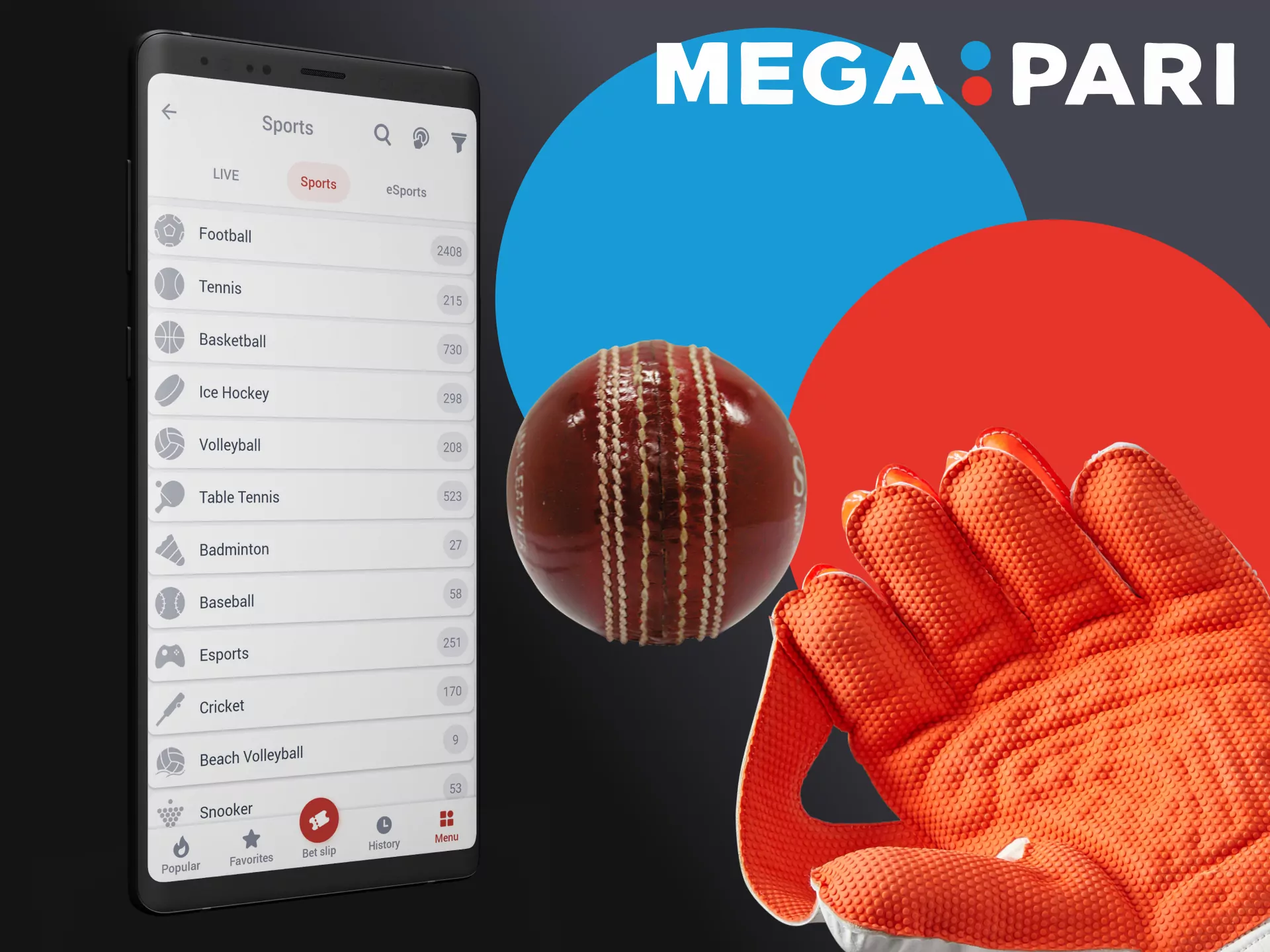 Choose your favorite sport for betting on Megapari.