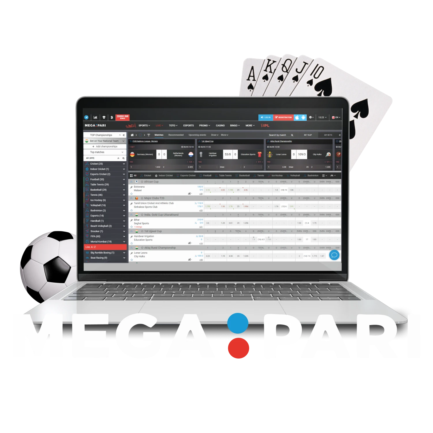 Choose the PC application from Megapari.