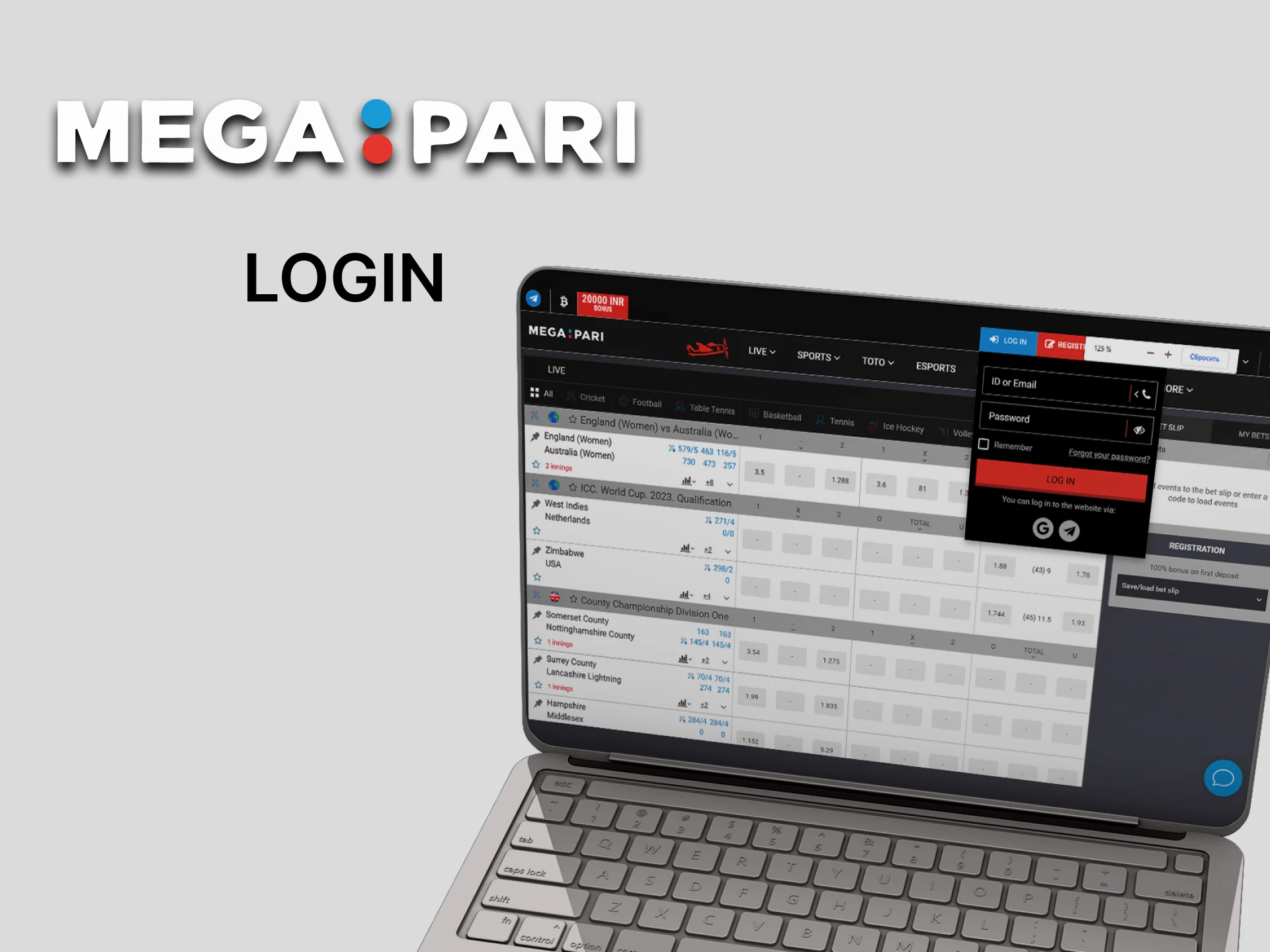Log in to your personal Megapari account.