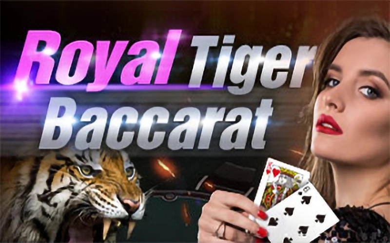 Royal Tiger Baccarat offers you an exciting gaming experience at Megapari.